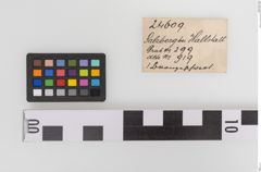 Etiketten zu Bronzeschwert (NHMW-PRAE-024609)
